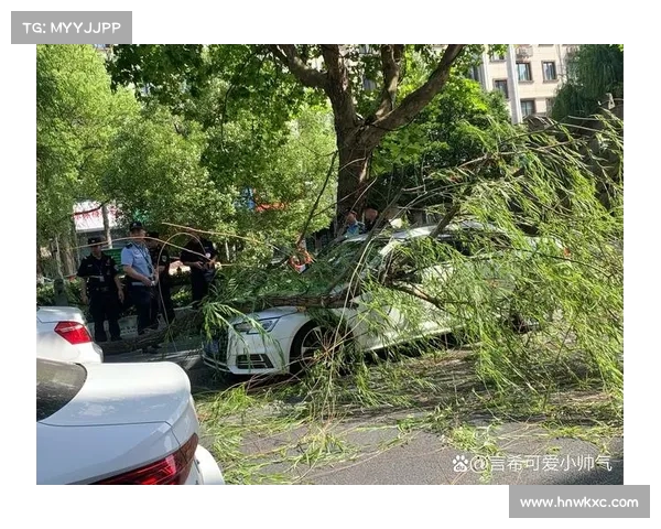 揭开抚州大风背后的秘密:是天灾还是妖异之力? 揭开抚州大风背后的秘密:是天灾还是妖异之力?