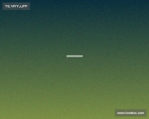 湖人队完成大逆转，扳回败局